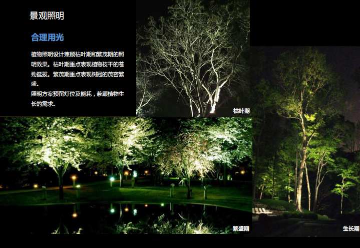 齐盛湖公园照明
